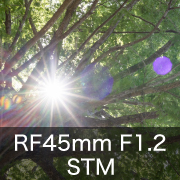 現代のレンズなのにオールドの味わい？ RF45mm F1.2 STM レビュー