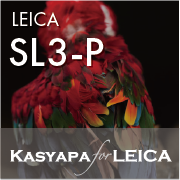 sl3pkasyapa