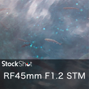 現代のレンズなのにオールドの味わい？ RF45mm F1.2 STM レビュー