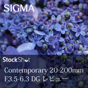 Contemporary 20-200mm F3.5-6.3 DGレビュー