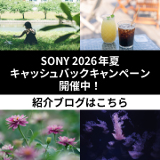 SONY 2026年夏 キャッシュバックキャンペーン