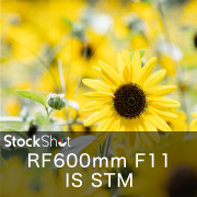 RF600mm F11 IS STM｜かつては特別な憧れだった世界が今の相棒に。驚きの軽さを体感