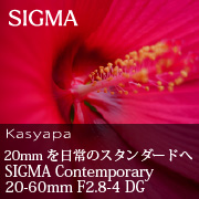 20mmを日常のスタンダードへ『 SIGMA Contemporary 20-60mm F2.8-4 DG 』