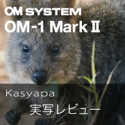 OM SYSTEM OM-1 Mark II Kasyapa
