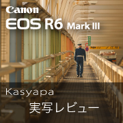 Canon R6 Mark III Kasyapa