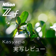 Nikon Z f kasyapa