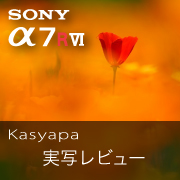 SONY α7RVI Kasyapa