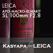 LEICA APO-MACRO-ELMARIT-SL 100mm F2.8