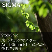 【SIGMA】ついに見つけた理想のボケ。次世代ボケマスター、Art 135mm F1.4に私が惚れた理由