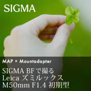 『SIGMA BF』で撮る『Leica ズミルックス M50mm F1.4 初期型』