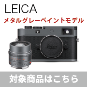  LEICA メタルグレーペイント