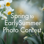 Spring to Early Summer Photo Contest