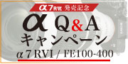 αQ＆Aキャンペーン