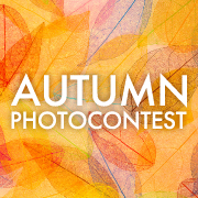 「AUTUMN PHOTO CONTEST」