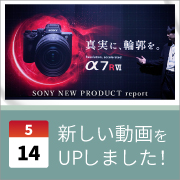 ec_youtubeblog