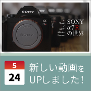 ec_youtubeblog