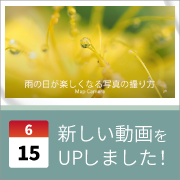 ec_youtubeblog