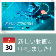 ec_youtubeblog