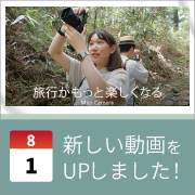 ec_youtubeblog