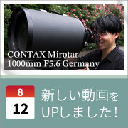 ec_youtubeblog