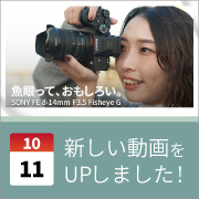ec_youtubeblog