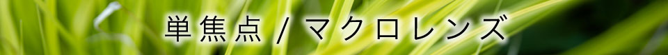 単焦点/マクロレンズ