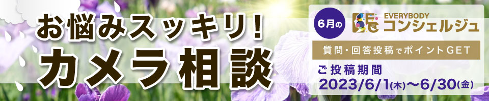 コンシェルジュ
