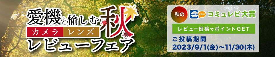 コミュレビ大賞