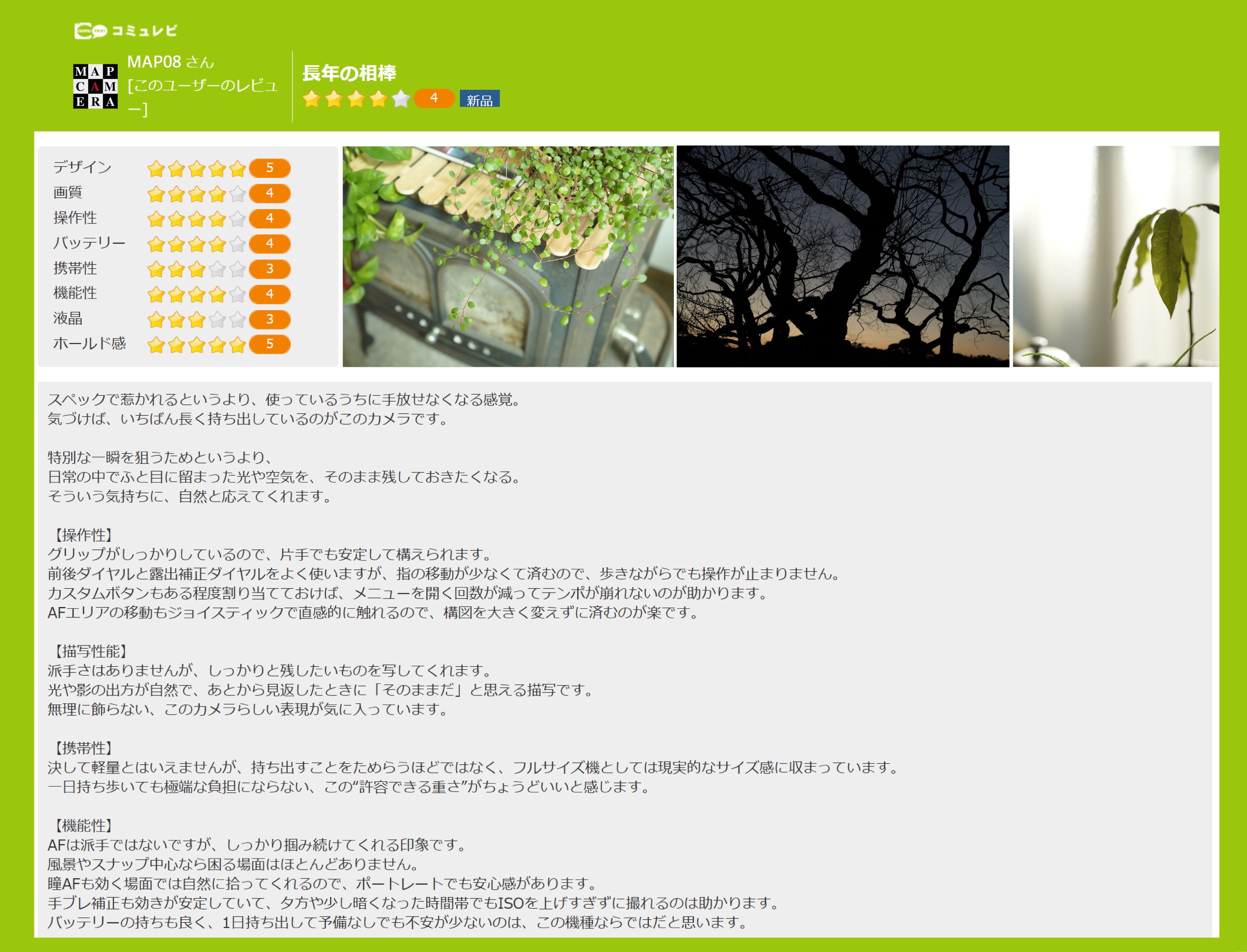 レビュー投稿例