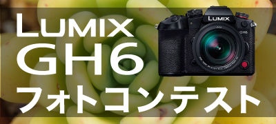 機種限定GH6フォトコンテスト