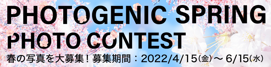Photogenic Spring Photo Contest