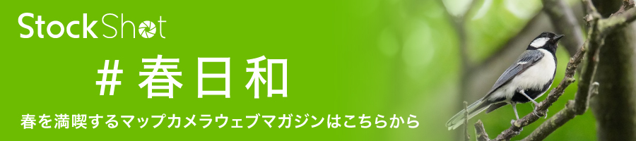 ウェブマガジン