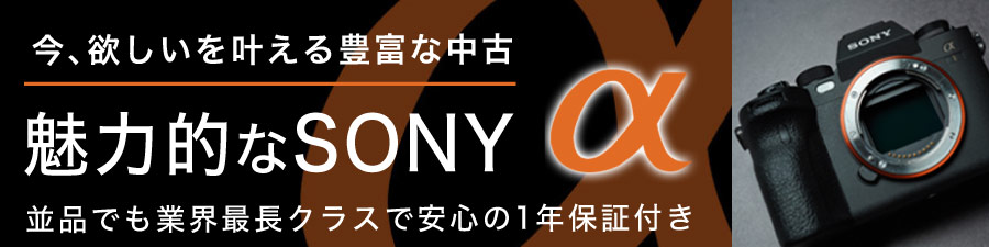 魅力的なSONY