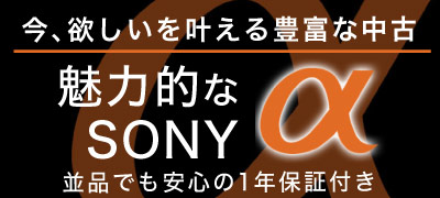 魅力的なSONY