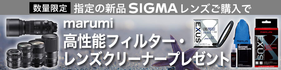 sicmr2303」「交換レンズ」「SIGMA」「新品商品」の商品検索結果 