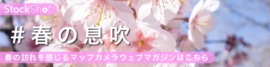 ウェブマガジン_冬の煌めき
