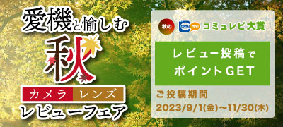 コミュレビ大賞