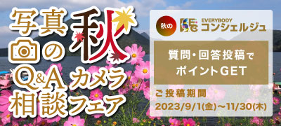 ベストコンシェルジュ