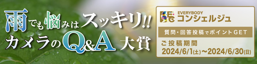 『雨でもカメラの悩みはスッキリ!！カメラQ&A大賞』