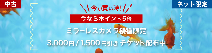 今が買い時！機種限定優待チケット進呈中
