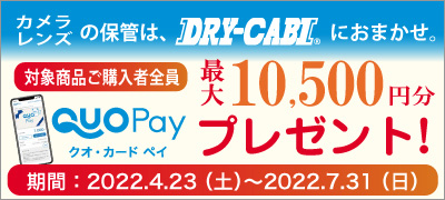 トーリ・ハンQuopayプレゼントキャンペーン