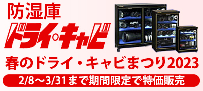 トーリハン期間限定特価