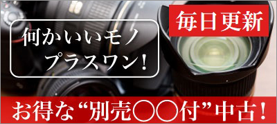 中古 お得な付属品付