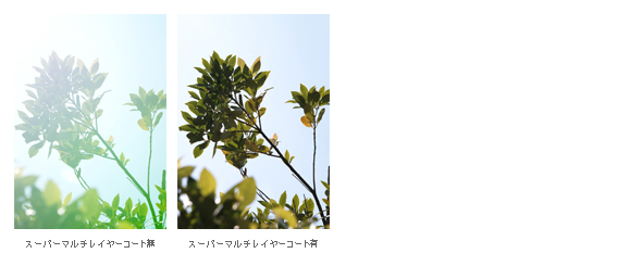 タムロン18-400mm F3.5-6.3 Canon用EFマウント Nikon AF-S 200-500 mm F5.6E 蒸せ ED VR 中古