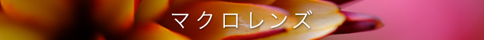 FUJIFILM XF Lens