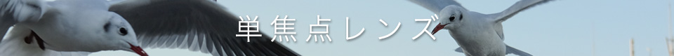 FUJIFILM XF Lens