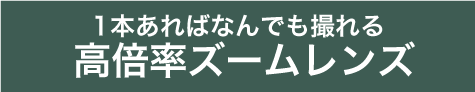 高倍率ズームレンズ