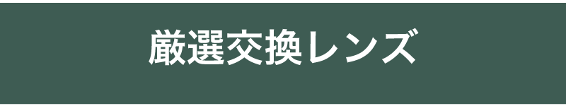 厳選交換レンズ