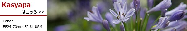 PhotoPreview