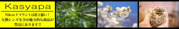 Nikon Fマウントレンズピックアップ